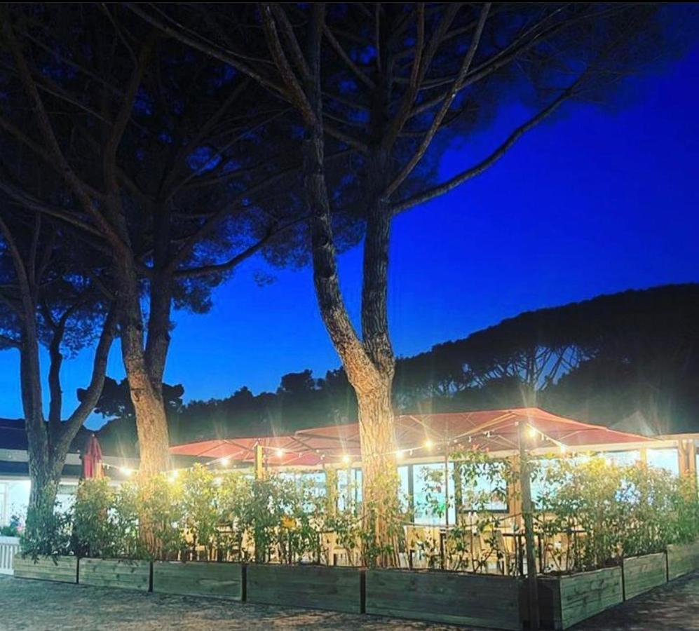 Appartamenti Campeggio Del Forte マリーナ・ディ・ビッボーナ エクステリア 写真